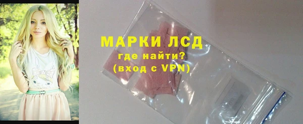мдпв Богородск