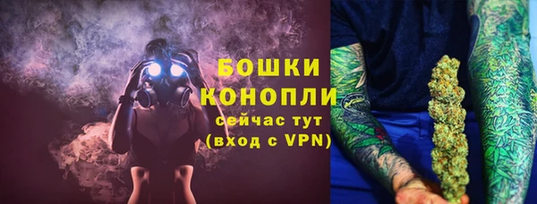 мдпв Богородск