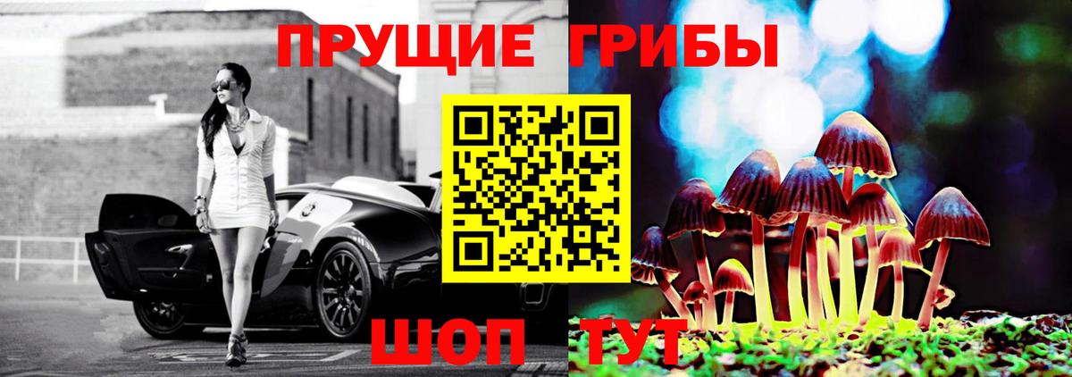 Сланцы  Псилоцибиновые грибы MAGIC MUSHROOMS  Вход с VPN 